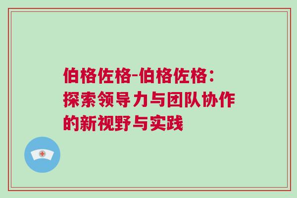 伯格佐格-伯格佐格：探索領(lǐng)導(dǎo)力與團(tuán)隊(duì)協(xié)作的新視野與實(shí)踐