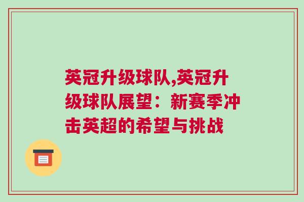 英冠升級(jí)球隊(duì),英冠升級(jí)球隊(duì)展望：新賽季沖擊英超的希望與挑戰(zhàn)