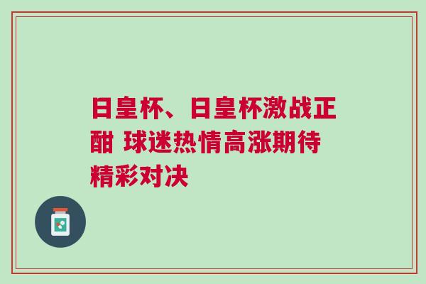 日皇杯、日皇杯激戰(zhàn)正酣 球迷熱情高漲期待精彩對決