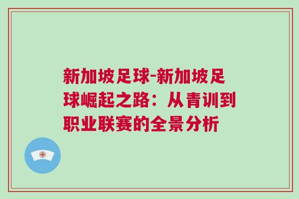 新加坡足球-新加坡足球崛起之路：從青訓到職業(yè)聯(lián)賽的全景分析