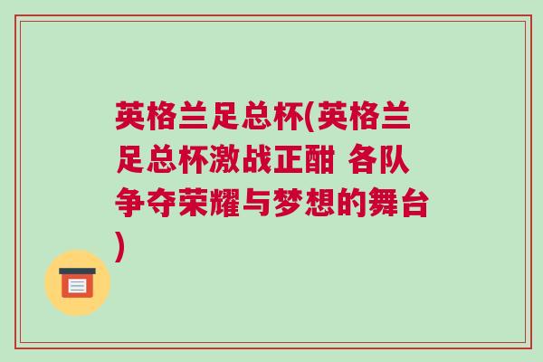 英格蘭足總杯(英格蘭足總杯激戰(zhàn)正酣 各隊(duì)爭奪榮耀與夢想的舞臺(tái))