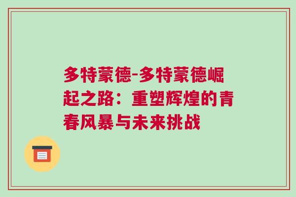 多特蒙德-多特蒙德崛起之路：重塑輝煌的青春風(fēng)暴與未來挑戰(zhàn)