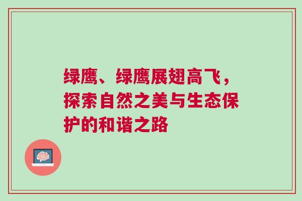 綠鷹、綠鷹展翅高飛，探索自然之美與生態(tài)保護(hù)的和諧之路