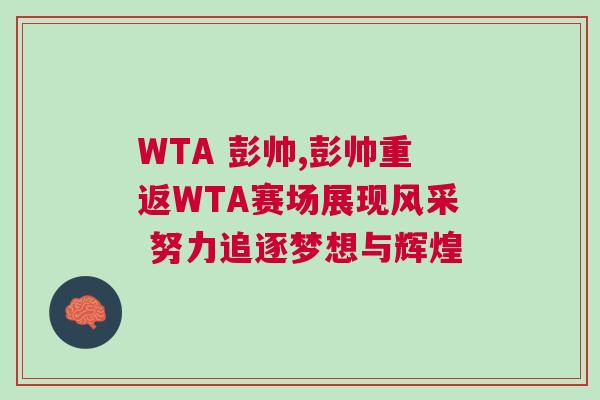 WTA 彭帥,彭帥重返WTA賽場(chǎng)展現(xiàn)風(fēng)采 努力追逐夢(mèng)想與輝煌