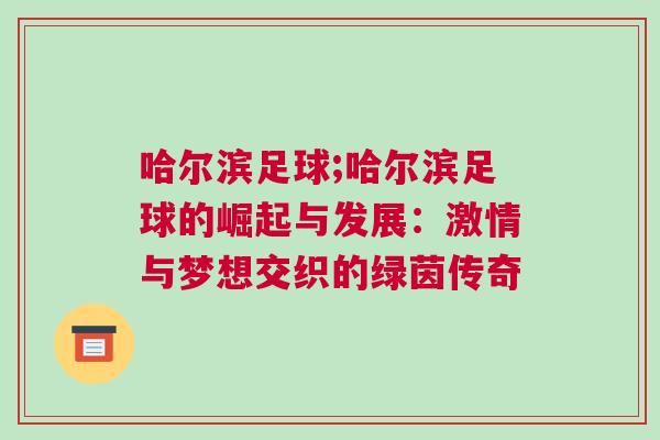 哈爾濱足球;哈爾濱足球的崛起與發(fā)展：激情與夢(mèng)想交織的綠茵傳奇