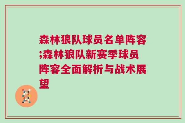 森林狼隊球員名單陣容;森林狼隊新賽季球員陣容全面解析與戰(zhàn)術(shù)展望