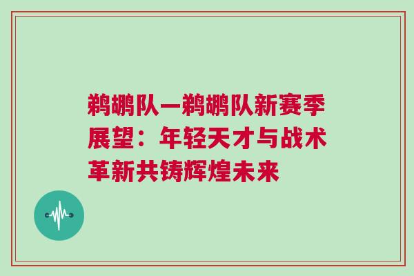 鵜鶘隊(duì)—鵜鶘隊(duì)新賽季展望：年輕天才與戰(zhàn)術(shù)革新共鑄輝煌未來