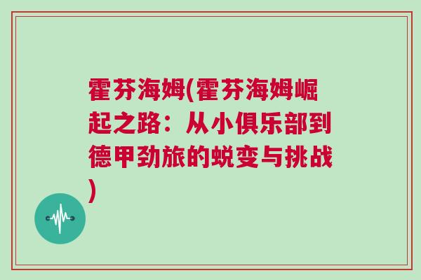 霍芬海姆(霍芬海姆崛起之路：從小俱樂部到德甲勁旅的蛻變與挑戰(zhàn))