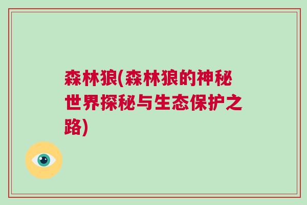 森林狼(森林狼的神秘世界探秘與生態(tài)保護之路)