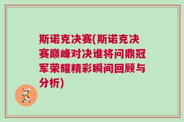 斯諾克決賽(斯諾克決賽巔峰對(duì)決誰將問鼎冠軍榮耀精彩瞬間回顧與分析)