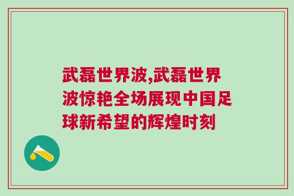 武磊世界波,武磊世界波驚艷全場(chǎng)展現(xiàn)中國(guó)足球新希望的輝煌時(shí)刻