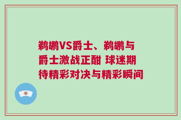 鵜鶘VS爵士、鵜鶘與爵士激戰(zhàn)正酣 球迷期待精彩對決與精彩瞬間