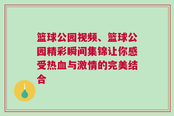 籃球公園視頻、籃球公園精彩瞬間集錦讓你感受熱血與激情的完美結(jié)合